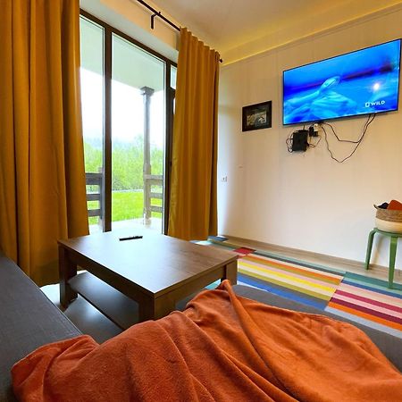 Cozy Riverfront Apartments With Garden And Mountain View Busteni Exterior photo