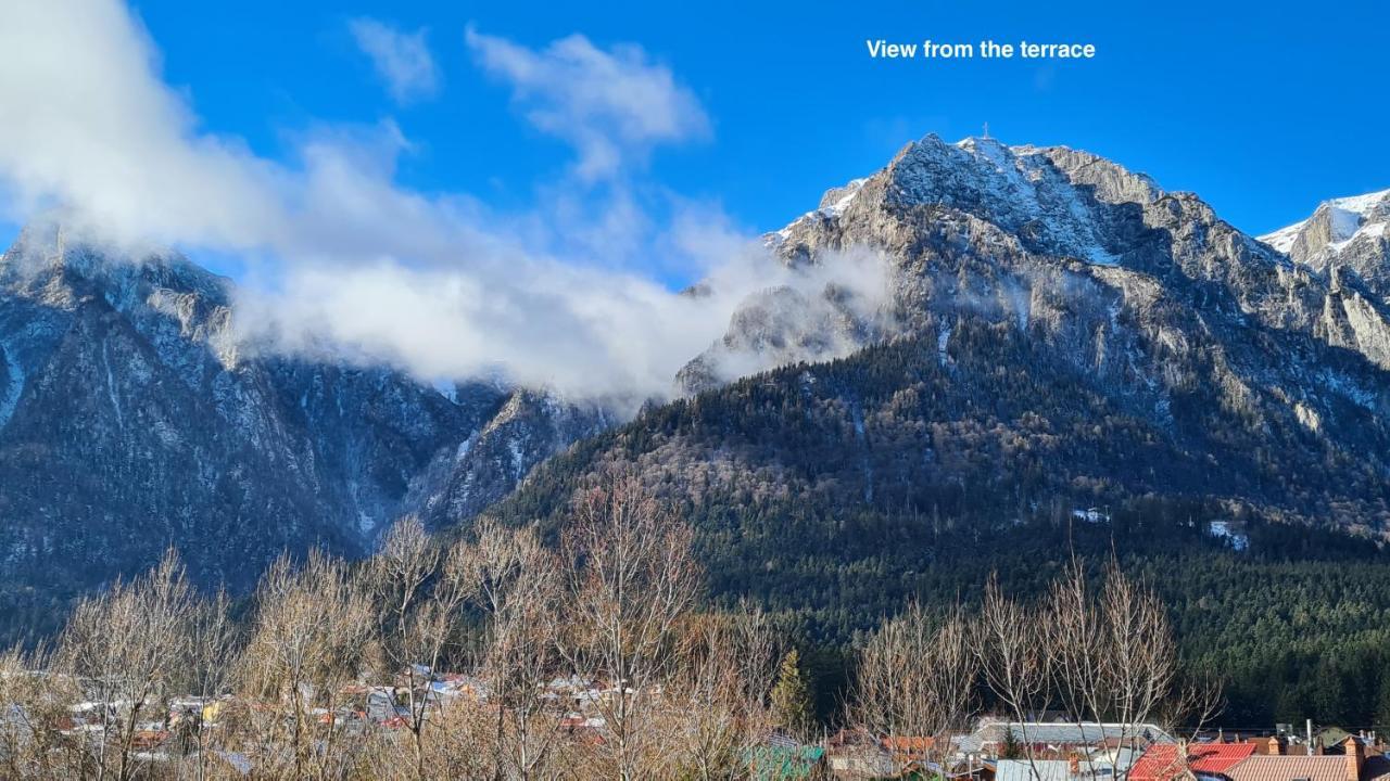 Cozy Riverfront Apartments With Garden And Mountain View Busteni Exterior photo