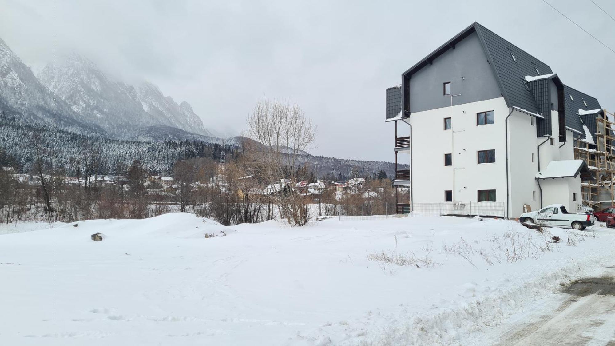 Cozy Riverfront Apartments With Garden And Mountain View Busteni Exterior photo