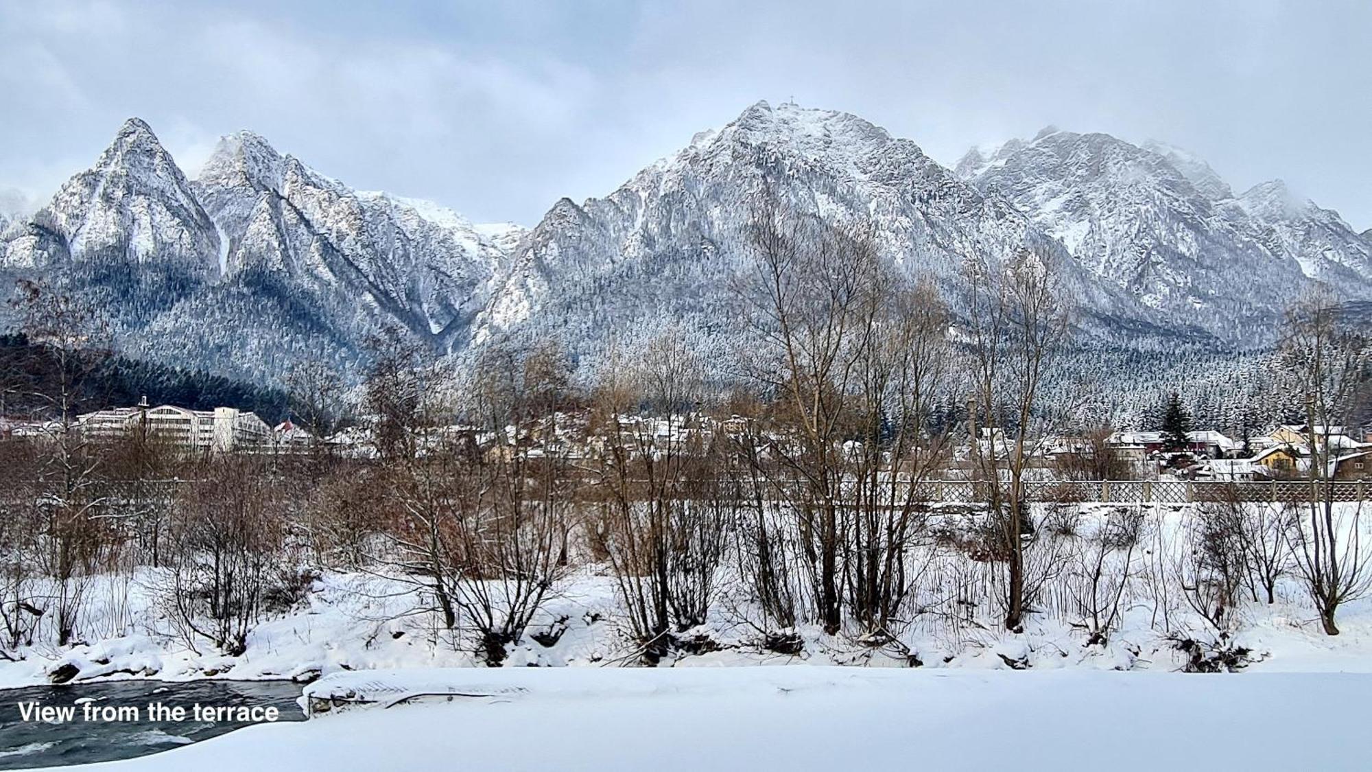 Cozy Riverfront Apartments With Garden And Mountain View Busteni Exterior photo